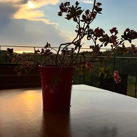 ファームステイ Gordia Organic Winery
