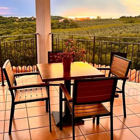 Gordia Organic Winery ファームステイ *