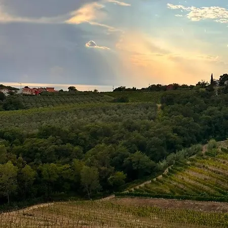 Gordia Organic Winery ファームステイ Hrvatini