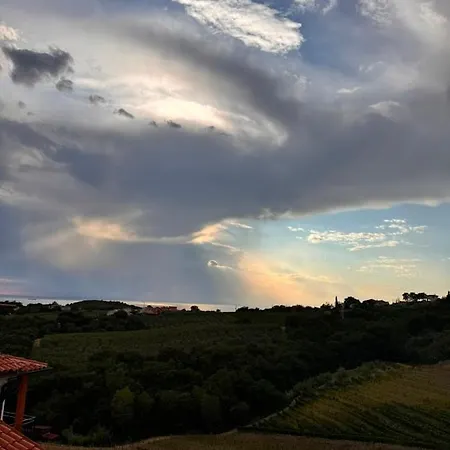 Gordia Organic Winery