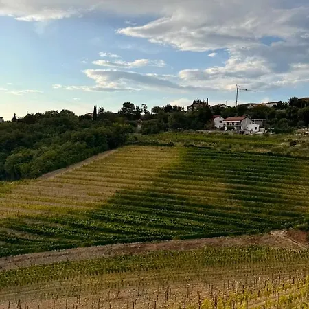 Gordia Organic Winery