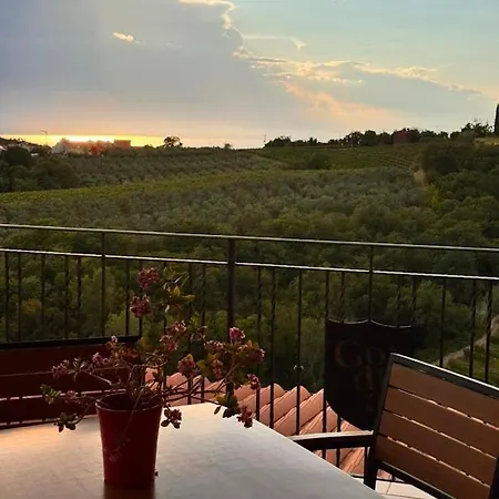 ファームステイ Gordia Organic Winery *