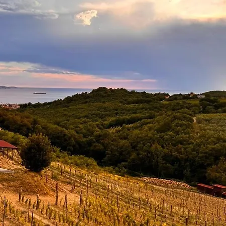 Gordia Organic Winery ファームステイ Hrvatini