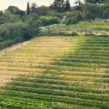 Gordia Organic Winery Hrvatini