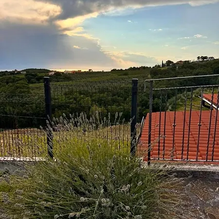 Gordia Organic Winery ファームステイ Hrvatini